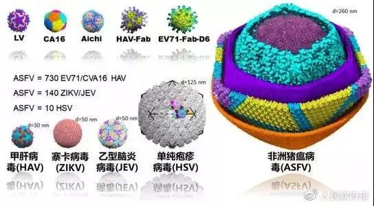 MK体育
3D